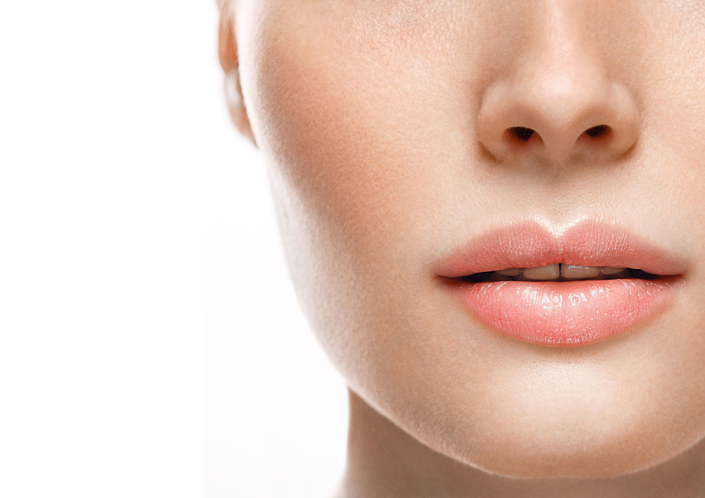 Upper Lip Body